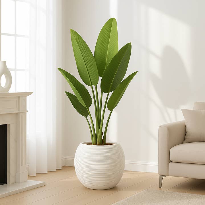 Large Artificial Bird of Paradise, 47" Fake Plant with Cement Base, Indoor Outdoor Living Room, Porch, Patio, Home Decor Gifts for wholesale by Sona Casa