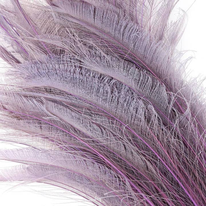 Zucker Feather Products - Wholesale Feathers - Peacock Swords Bleached/Dyed - Orchid
