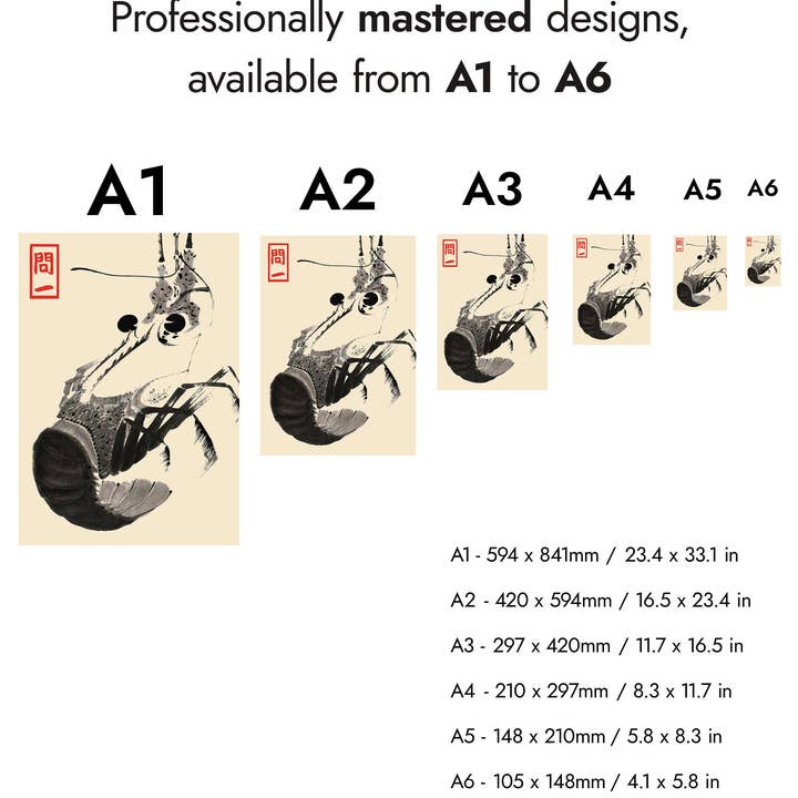 Animato – wholesale Art print – Shrimp4