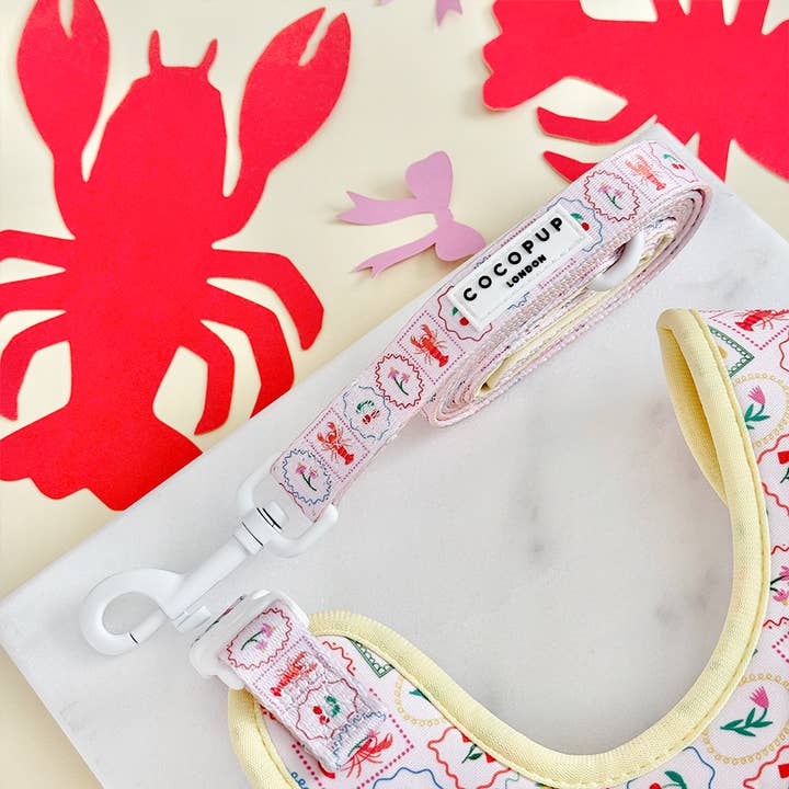 Dolce Vita Lood voor wholesale door Cocopup London