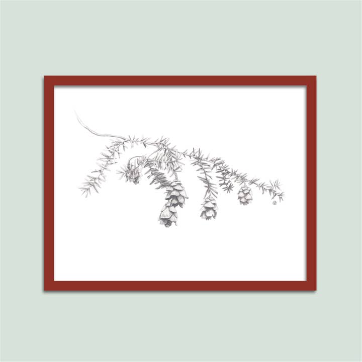 Hemlock Branch and Pinecones Archival Print for wholesale by Tiny Pine Art