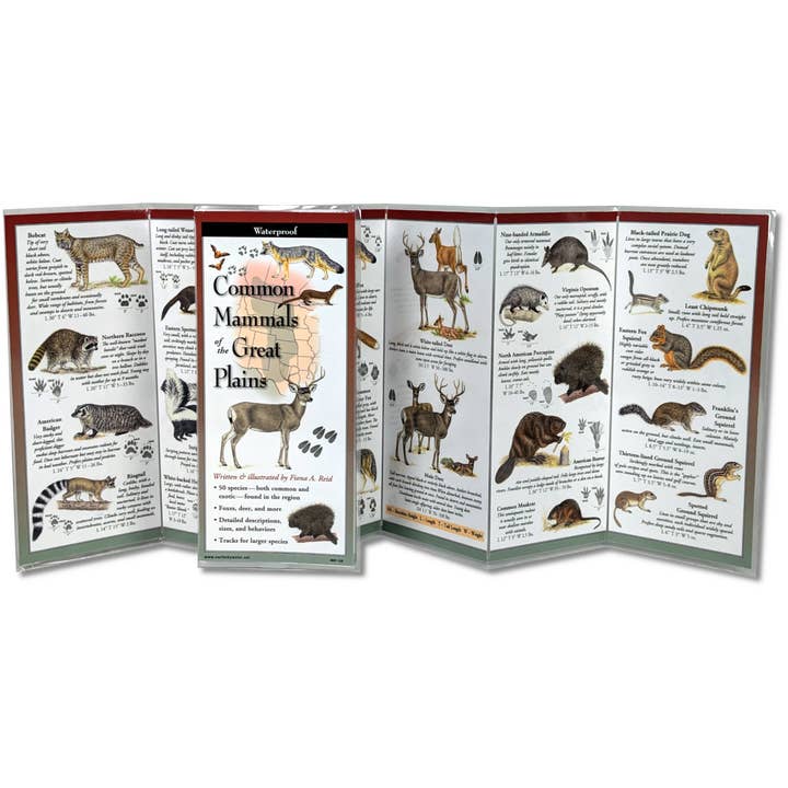 Common Mammals of the Great Plains FoldingGuide™ for wholesale by Earth Sky + Water