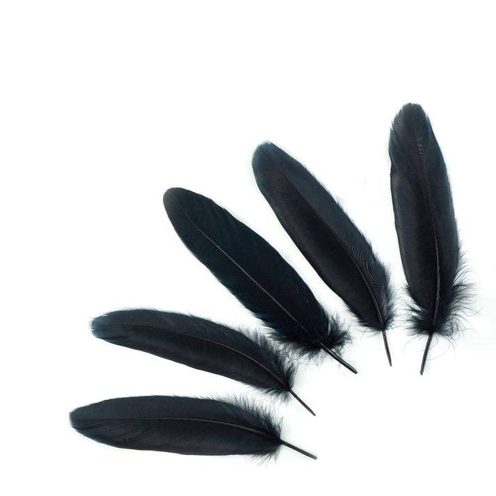 Palette en plumes d'oie de 6 à 8 po, 12 pièces, noires pour la vente par Zucker Feather Products