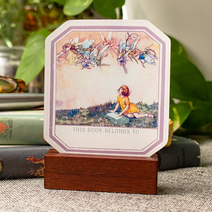 Sunshine and Ravioli - Wholesale Sticker - Bookplate Stickers - Fanciful Fairies0