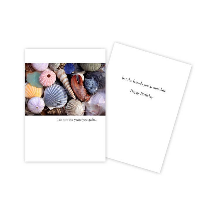 Shells Coastal Birthday Card for wholesale by Sun Day Greetings