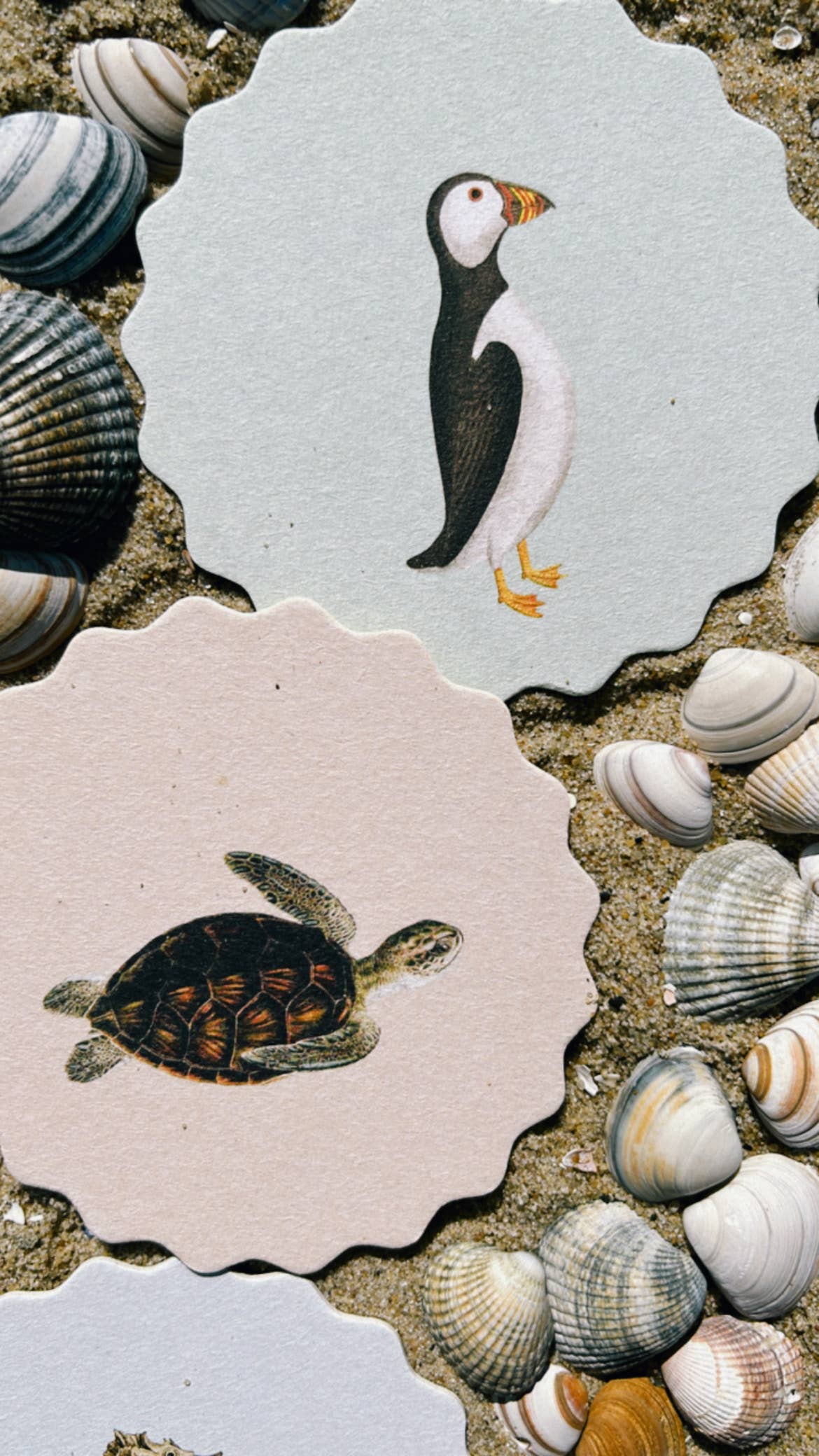 30x40 - Wholesale Coasters - Coaster Set Good Vibes 🍀🐓🐢 UPDATE - New Designs9