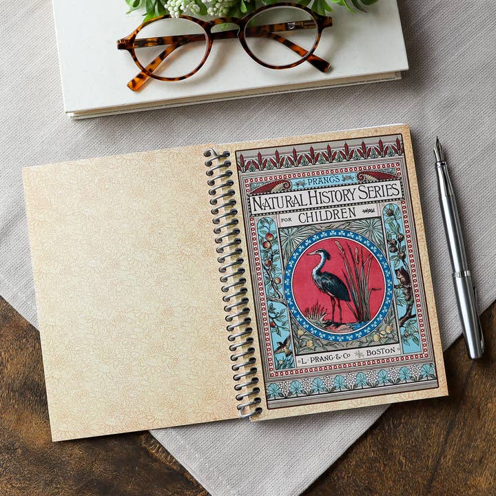 Sunshine and Ravioli - Wholesale Notebook - Spiral Notebook, Vintage Book Cover, Prangs Natural History