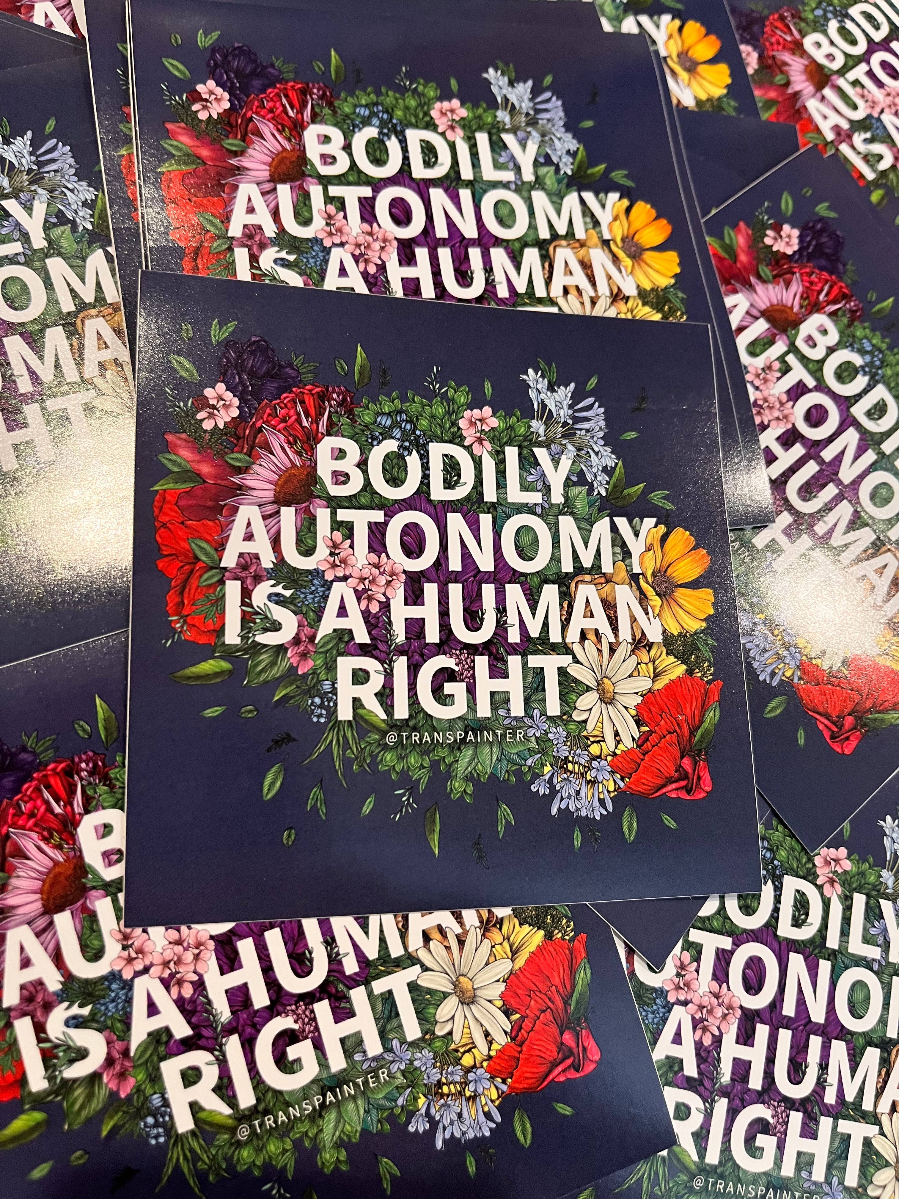 Transpainter - Wholesale Sticker - Bodily Autonomy is a Human Right Sticker | Feminist Stickers9