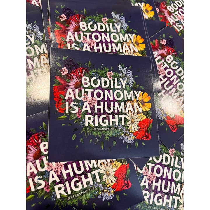 Transpainter - Wholesale Sticker - Bodily Autonomy is a Human Right Sticker | Feminist Stickers7