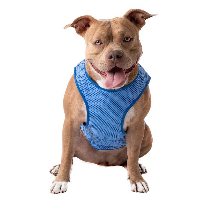 GF Pet - Wholesale Pet vest – Dog - GF Pet Elasto-Fit Ice Vest: Blue7