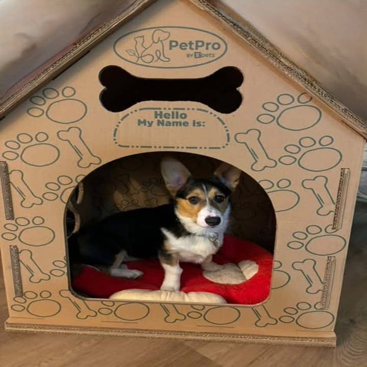 Designer Pet Products, LLC - Wholesale Pet carrier – Cat/dog - Dog-Cat House , Durable Cardboard Design4