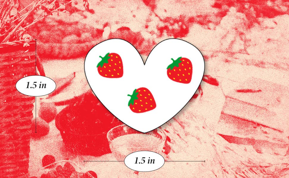 Fazit - Wholesale Blush - Strawberry Speckles Makeup Patches9