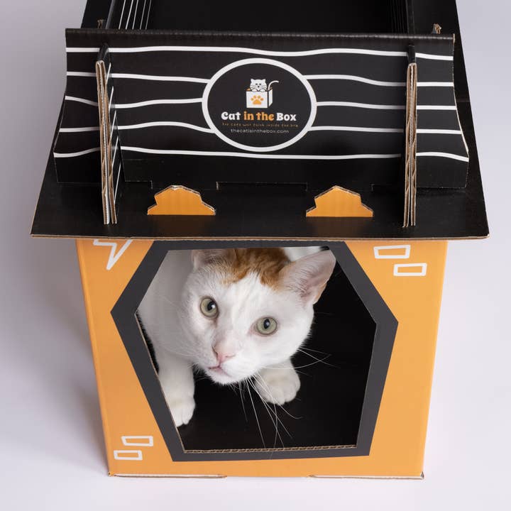 Cat in the Box LLC – wholesale Pet scratcher – Cat – Spooky Cat Haunted House - Cardboard Box Playhouse for Cats4
