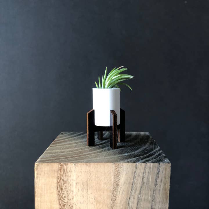 Mid Mod Mini Air Plant Holder + Live Mini Air Plant, White for wholesale by So Very Lovely