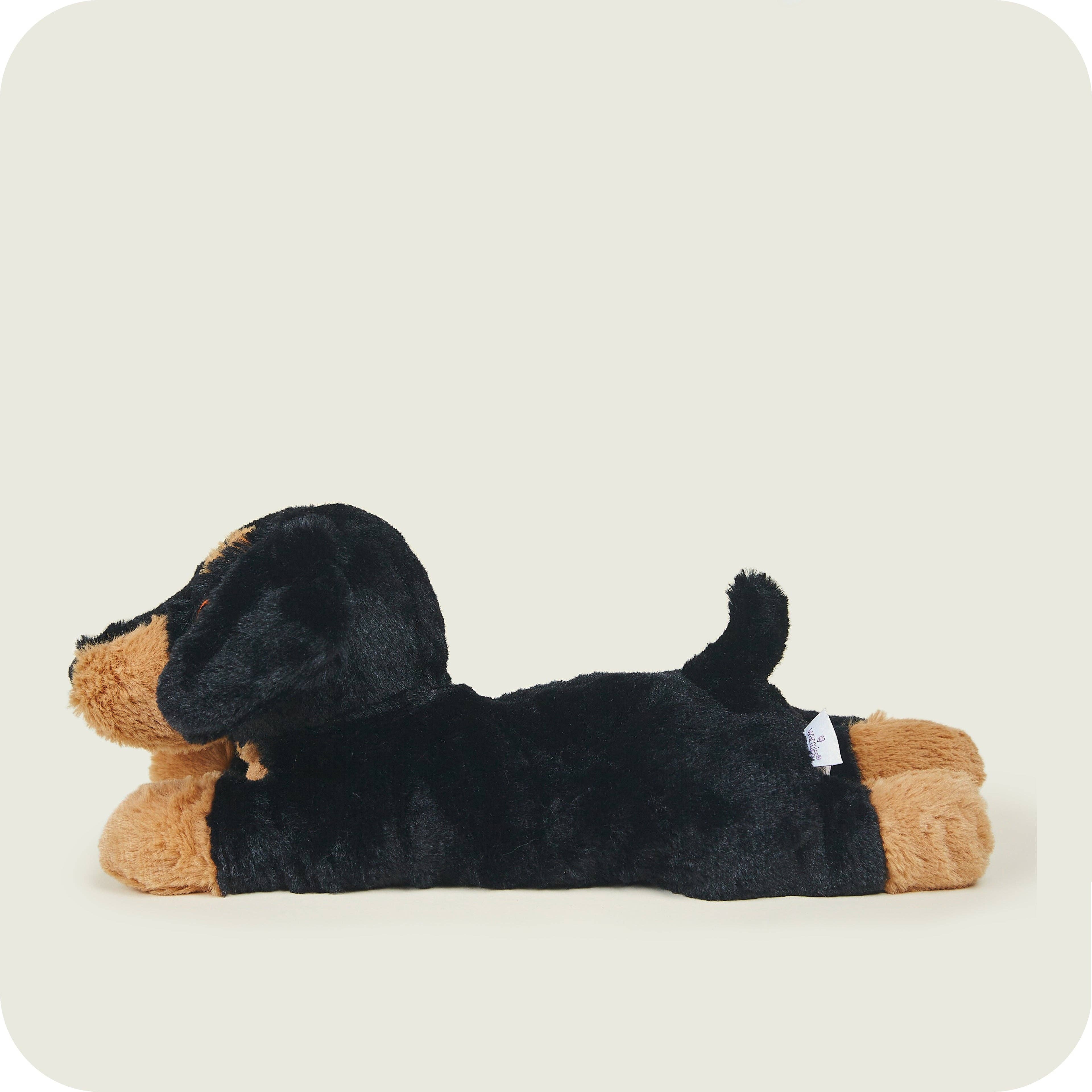 Warmies - Wholesale Stuffed/Plush Toy - Kids & Baby - Warmies Dachshund2