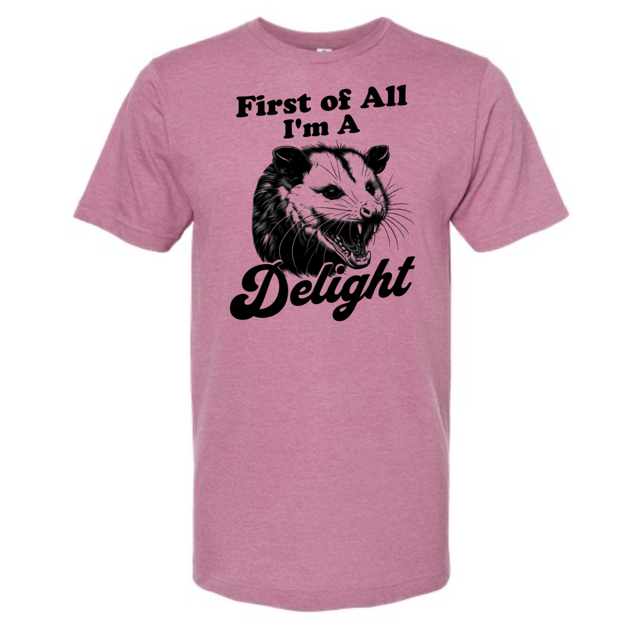 dkhandmade - Wholesale Screen Printed T-Shirt - Unisex - FIRST OF ALL I'M A DELIGHT T-SHIRT6