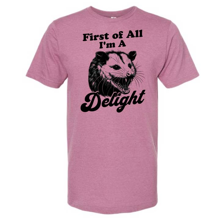 dkhandmade - Wholesale Screen Printed T-Shirt - Unisex - FIRST OF ALL I'M A DELIGHT T-SHIRT6