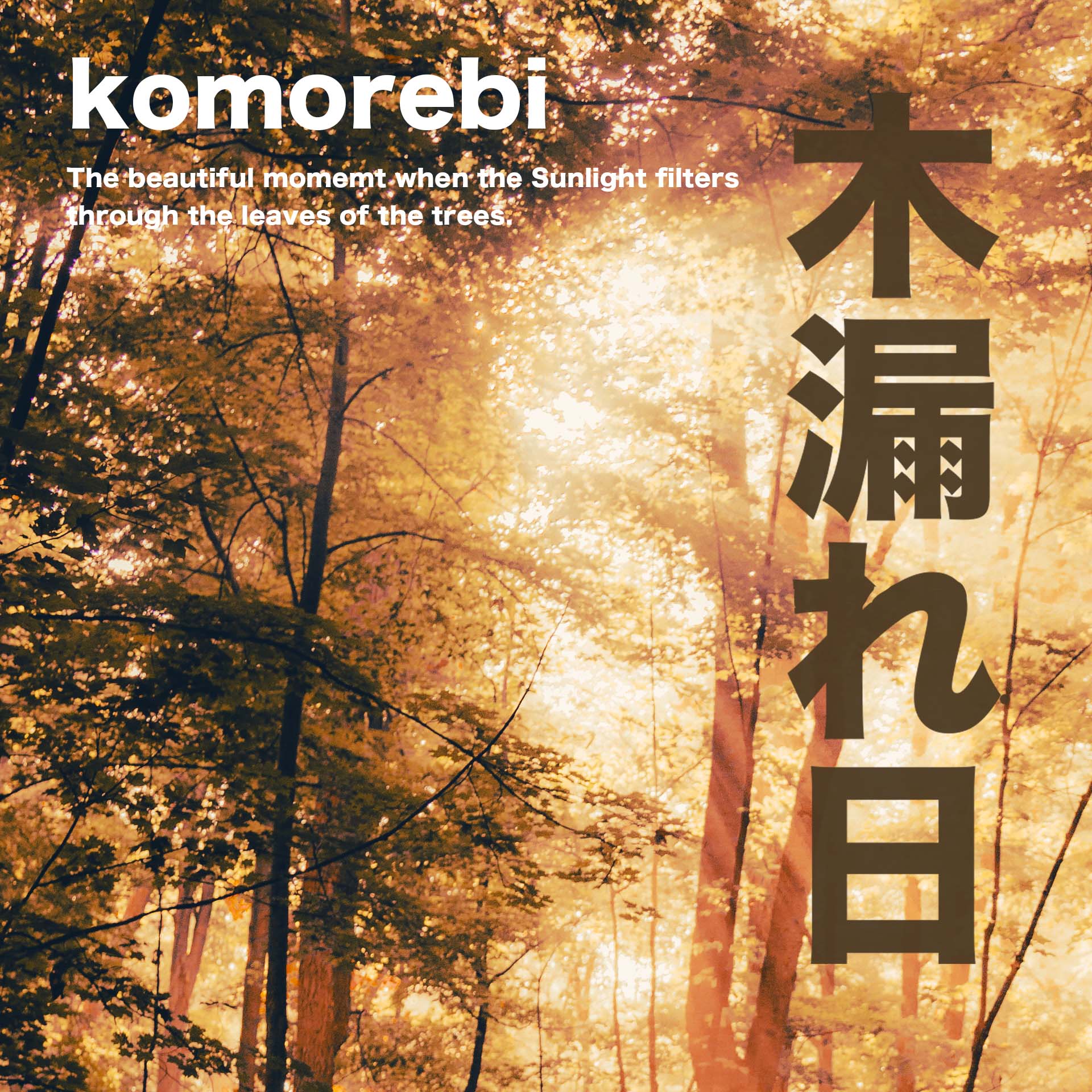MoinDori Hamburg – wholesale Notebook – Komorebi - Japanese notebook with screen printing1
