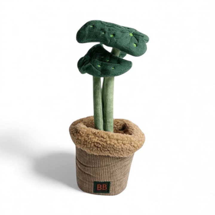 Aktivitätsspielzeug Pawtanic Garden - Pflanze für den Großhandel von B&B Økologisk Hundeshampoo