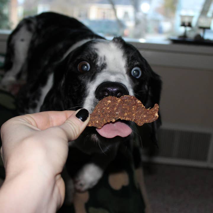 The Malted Mutt - Vente Friandises – chien - Pumpk'N Spice - Friandises naturelles pour chiens4