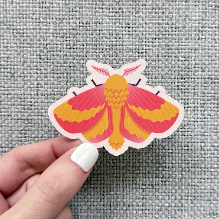 Rosy Maple Moth Vinyl Sticker - 3" for wholesale by Dandymark