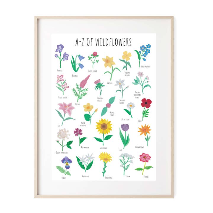 A-Z of Wildflowers Art Print for wholesale by paigesillustrations