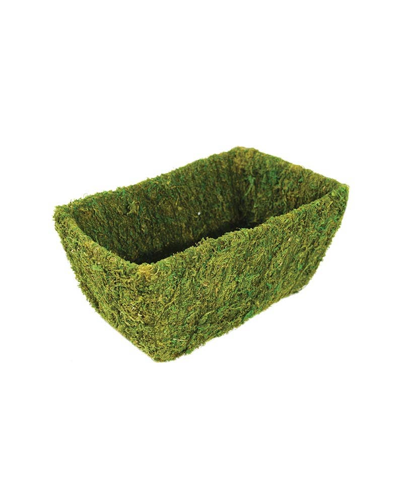 Frisk grøn Shasta Deco Basket for engroshandel på Faire1