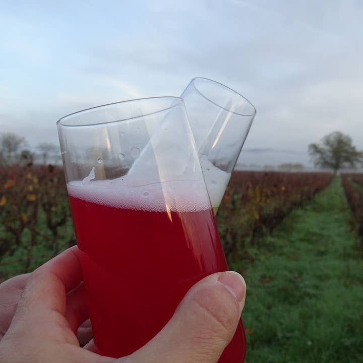 The Kefir & Kombucha Compagnie – Großhandel Kombucha – Bio-Hibiskus-Kefir - Farbenfroh, blumig und probiotisch - 33cl