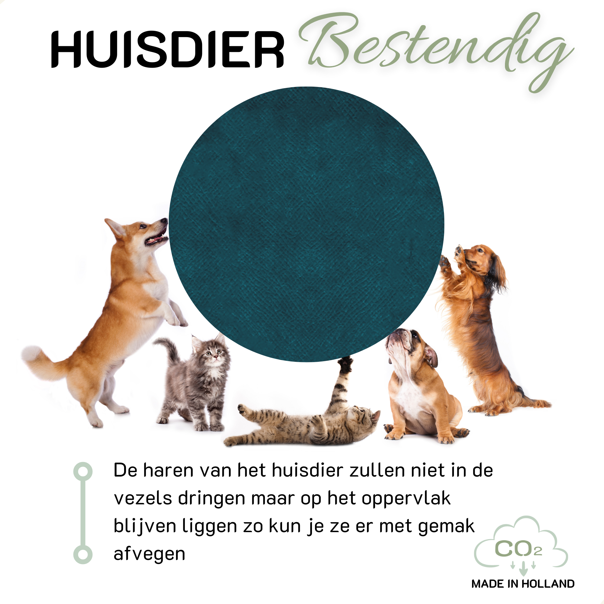 COHOSO - Wholesale Chair Cushion - Neck pillow FLAIR petrol6