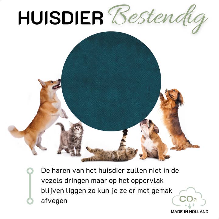 COHOSO - Wholesale Chair Cushion - Neck pillow FLAIR petrol6