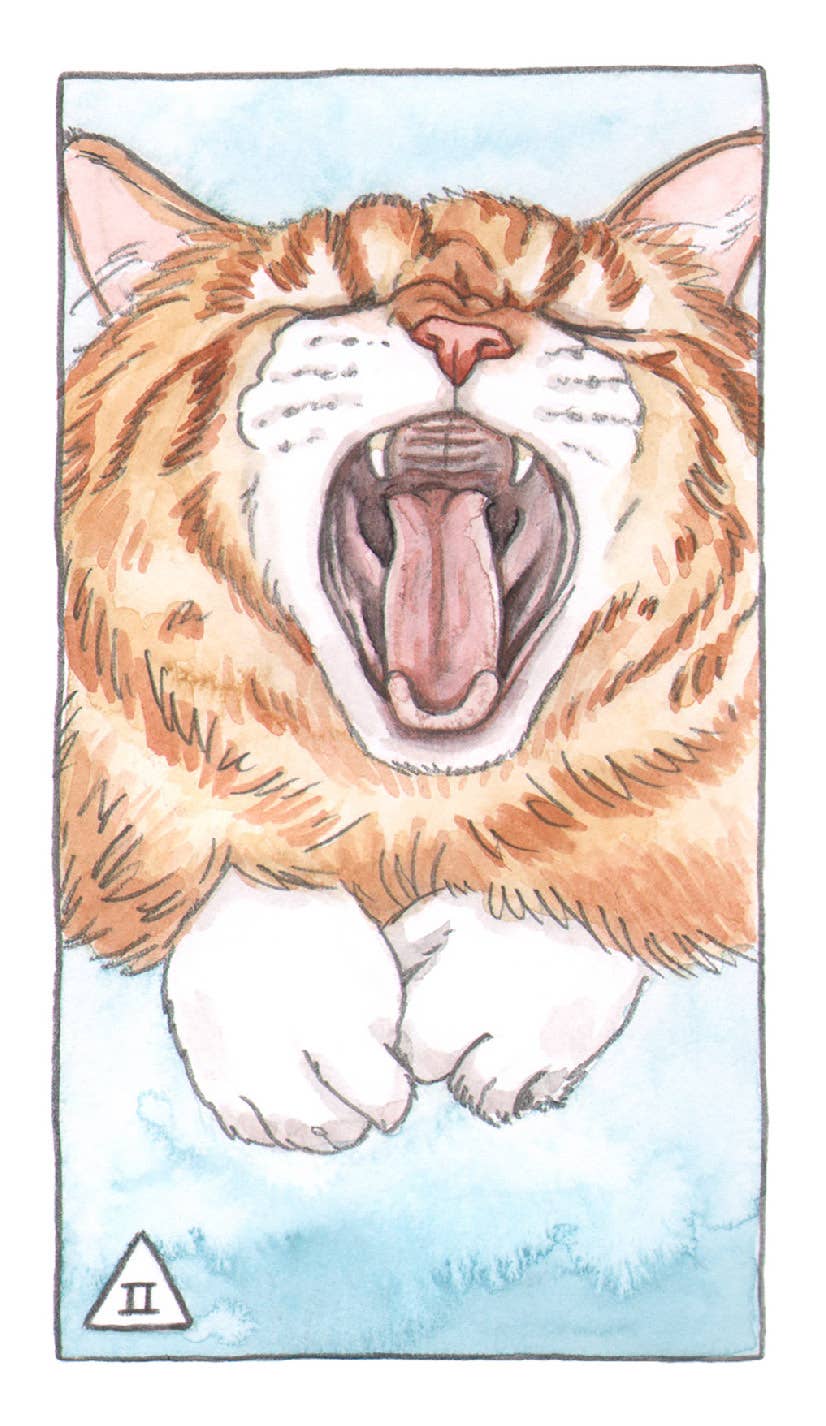 Chronicle Books - Wholesale Tarot Cards - Cat Tarot3