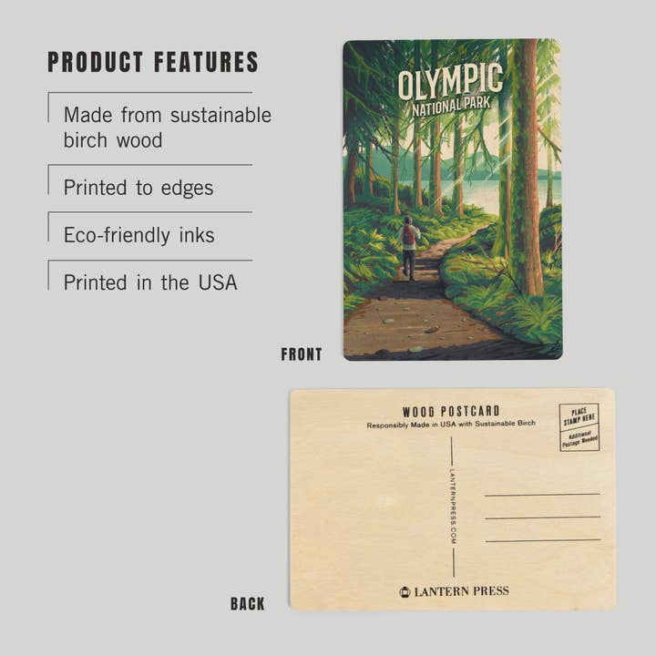 Lantern Press – wholesale Postcard – WOOD POSTCARD Olympic National Park, Walk in the Woods2