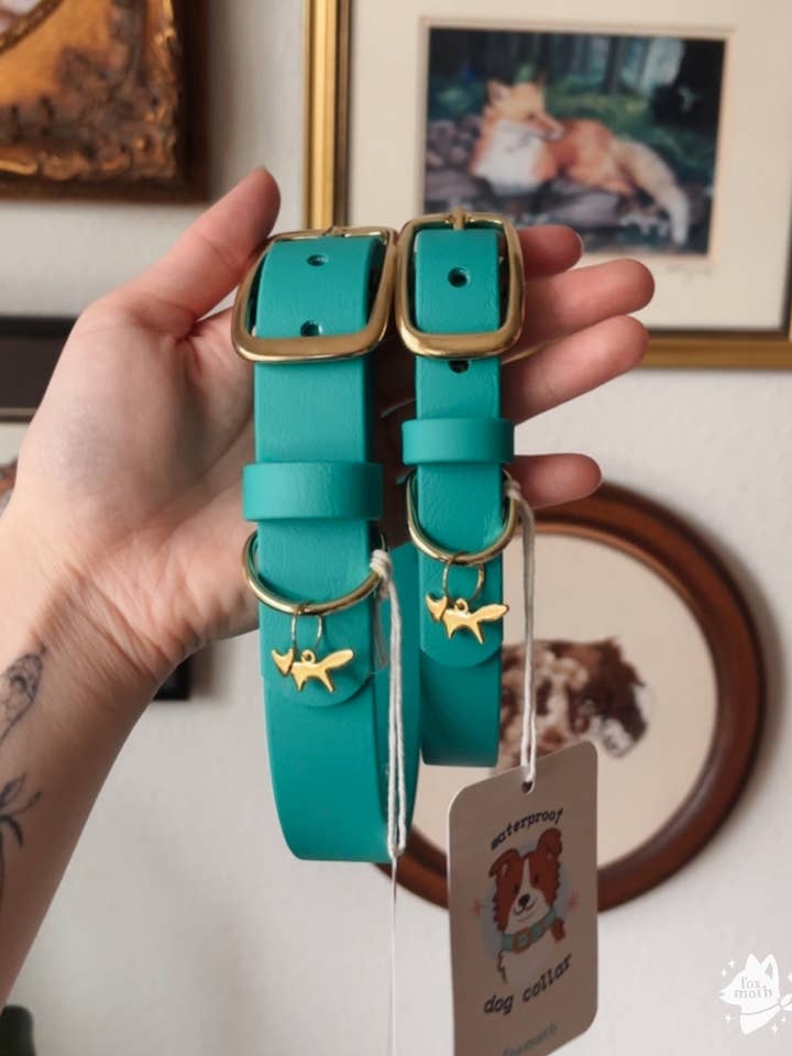 Waterproof Biothane Dog Collar | Alpine Color for wholesale by FoxMoth