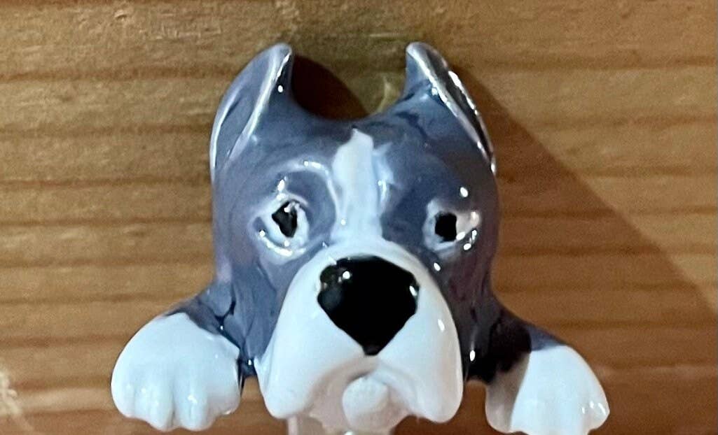 Gabbo Design – wholesale Pendant/charm necklace – Charms + Dogo Argentino Personalized Silver Necklace8