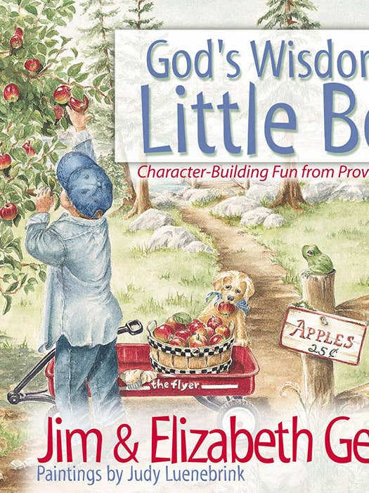God's Wisdom for Little Boys for wholesale by Harvest House Publishers Gift & Specialty Books