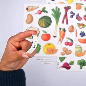 Ferflex - Wholesale Magnet - Kids & Baby - Magnetic game - fruits and vegetables2