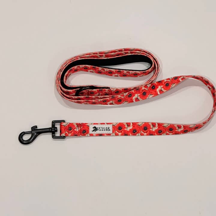 Laisse Champ de Coquelicots pour la vente par Petals & Pooch