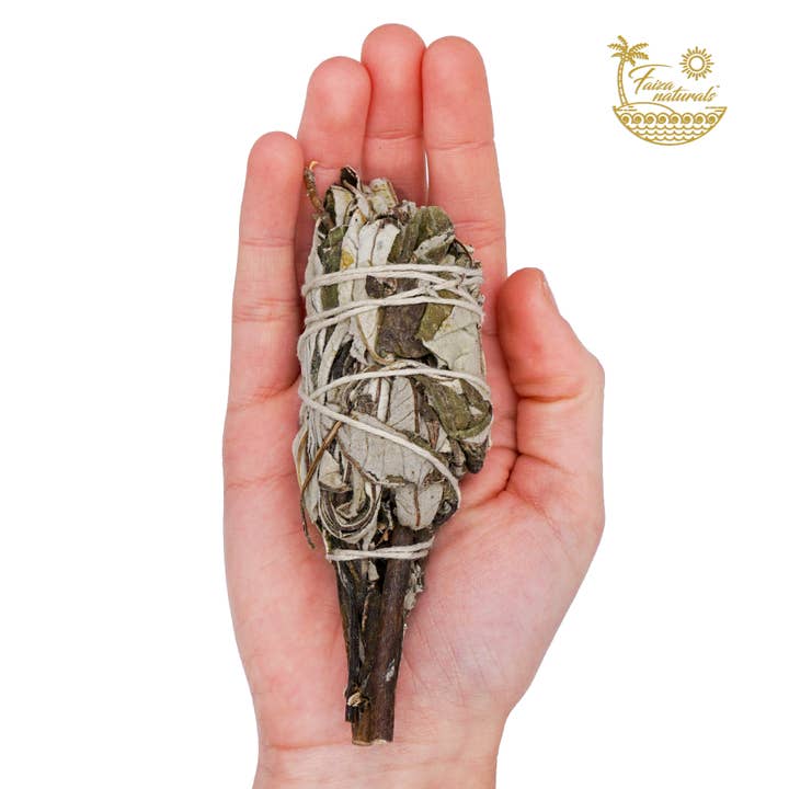 Faiza Naturals - Vendita all'ingrosso Salvia - Torce Yerba Santa3