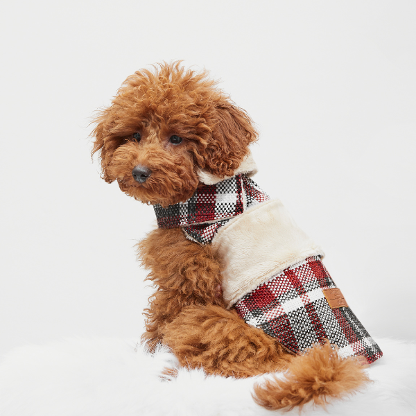 ARISTOPET – wholesale Ytterkläder - Hund – HUNDROCK LÖV12