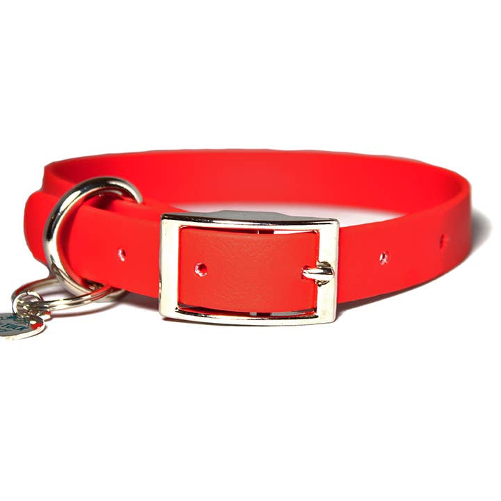 Collier pour chien imperméable rouge pour la vente par LUCK OF TUCK