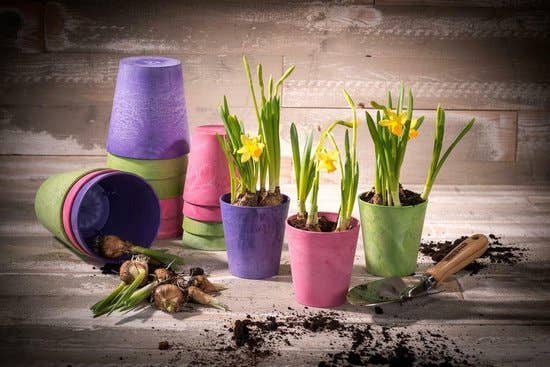 NHP International - Vente Pot - Pots de plantes Artstone Claire jaunes 8 x 9 cm1