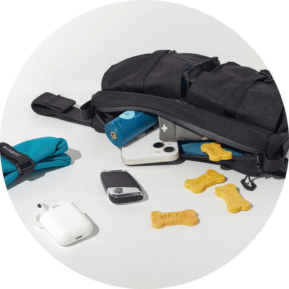 Wildebeest - Wholesale Belt Bag - Unisex - Farallon Crossbody Belt Bag / Treat Pouch2