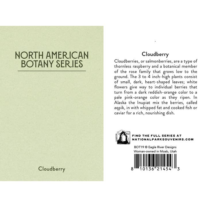 Adventure Booty - Wholesale Lapel Pin/Button - Cloudberry Pin1