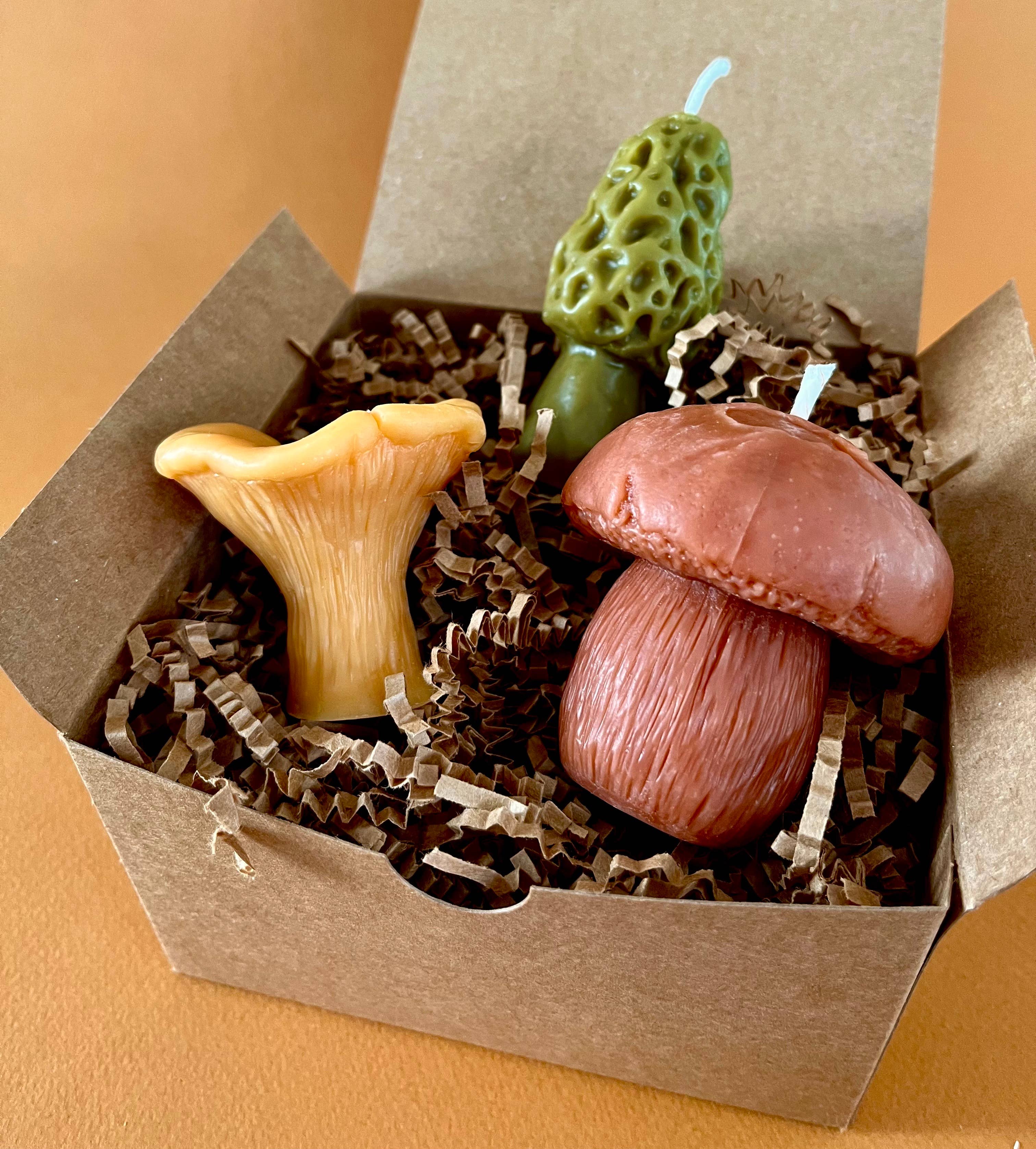 Wicksburgh - Wholesale Novelty Candle - Mushroom Lover Gift Box | Morel, Chanterelle & Pennybun3