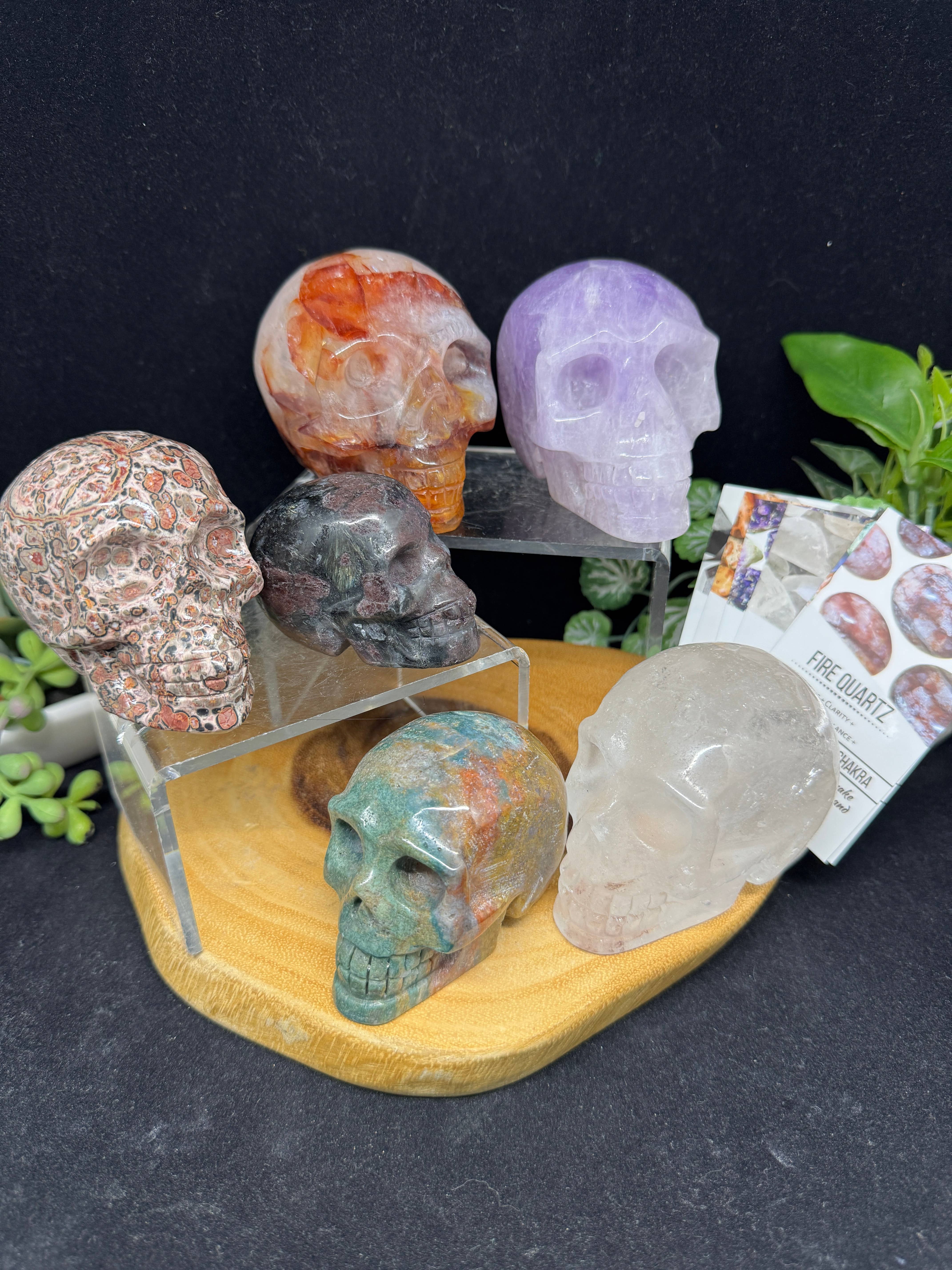 The 7 Directions - Wholesale Spiritual Stone/Crystal - 6 pc Ocean Jasper Leopardite fire quartz skull bundle G80517