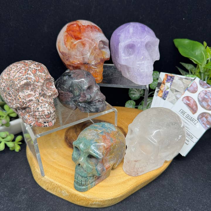 The 7 Directions - Wholesale Spiritual Stone/Crystal - 6 pc Ocean Jasper Leopardite fire quartz skull bundle G80517