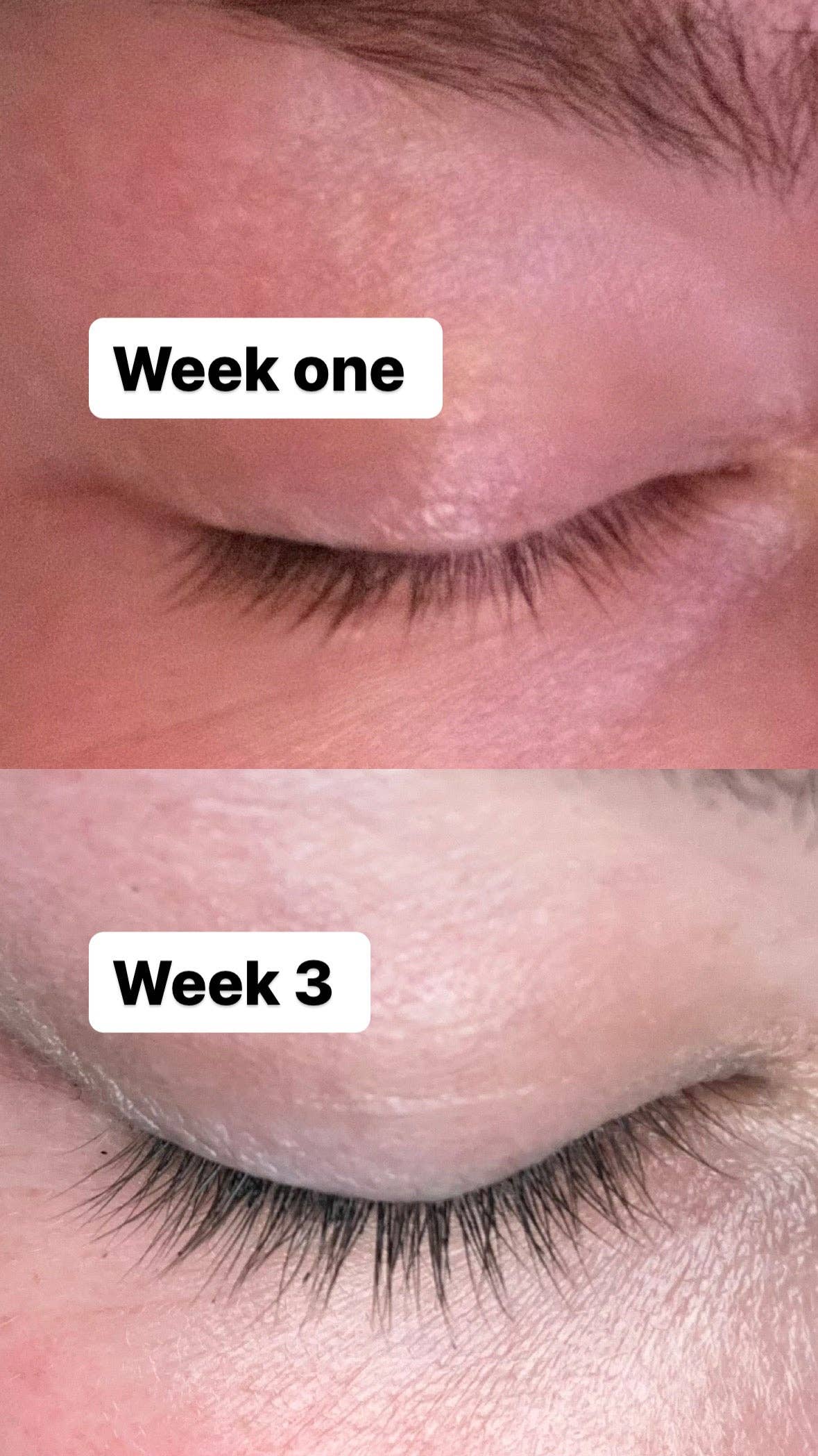 Sutton Michelle Designs - Wholesale Eyelash/Brow Serum - Natural Lash Serum3