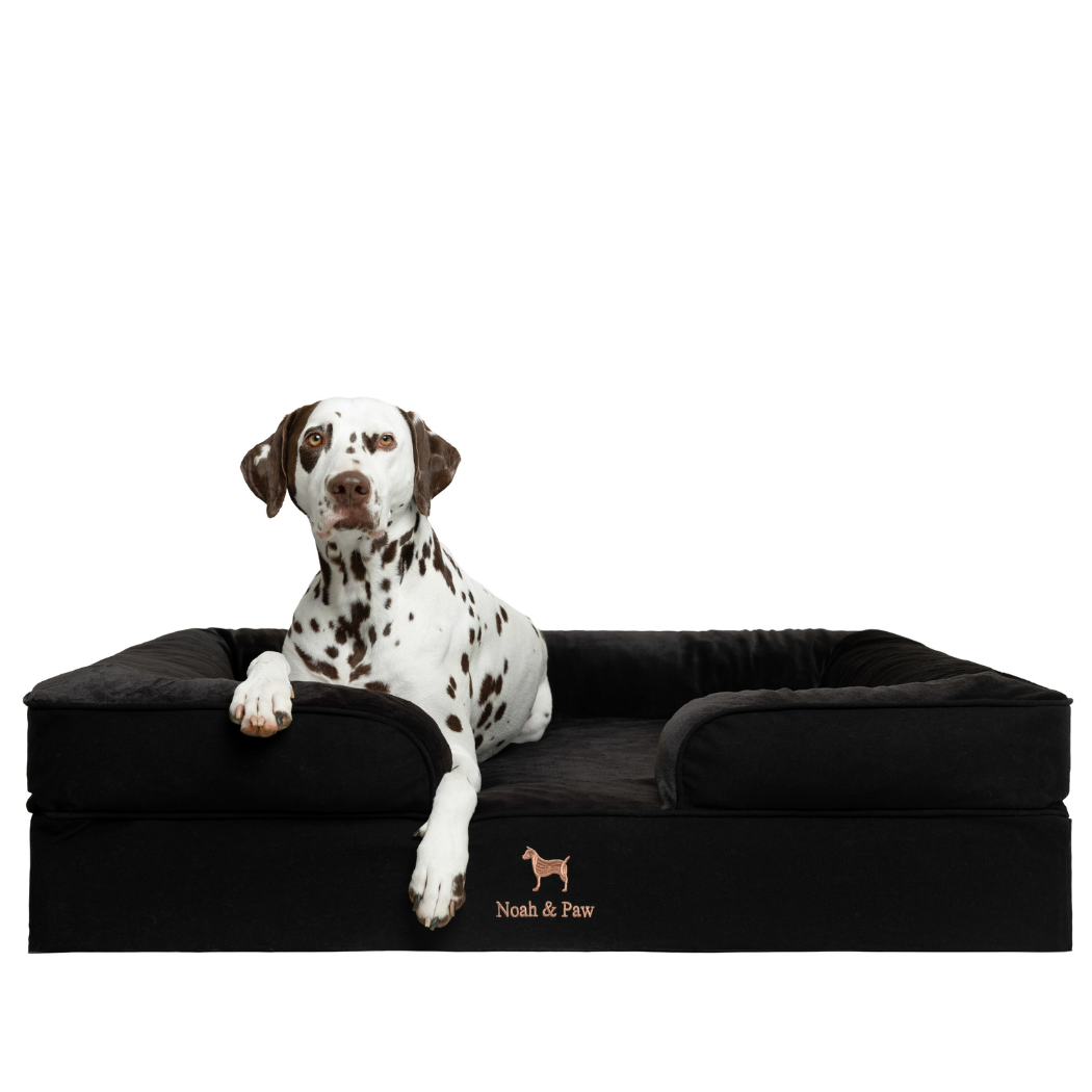 NOAH AND PAW LLC – Großhandel Haustierbett – Katze/Hund – Orthopädisches Haustierbett aus Denim, Memory-Schaum, mit kühlendem Gel durchzogen8