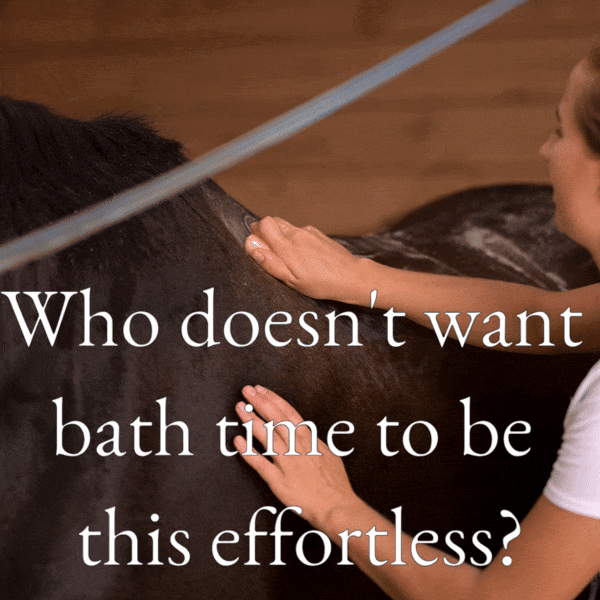 Kensington - Vente Disques de shampoing/shampoings solides - Barre de shampoing entièrement naturelle Bex Bar - paquet de 32