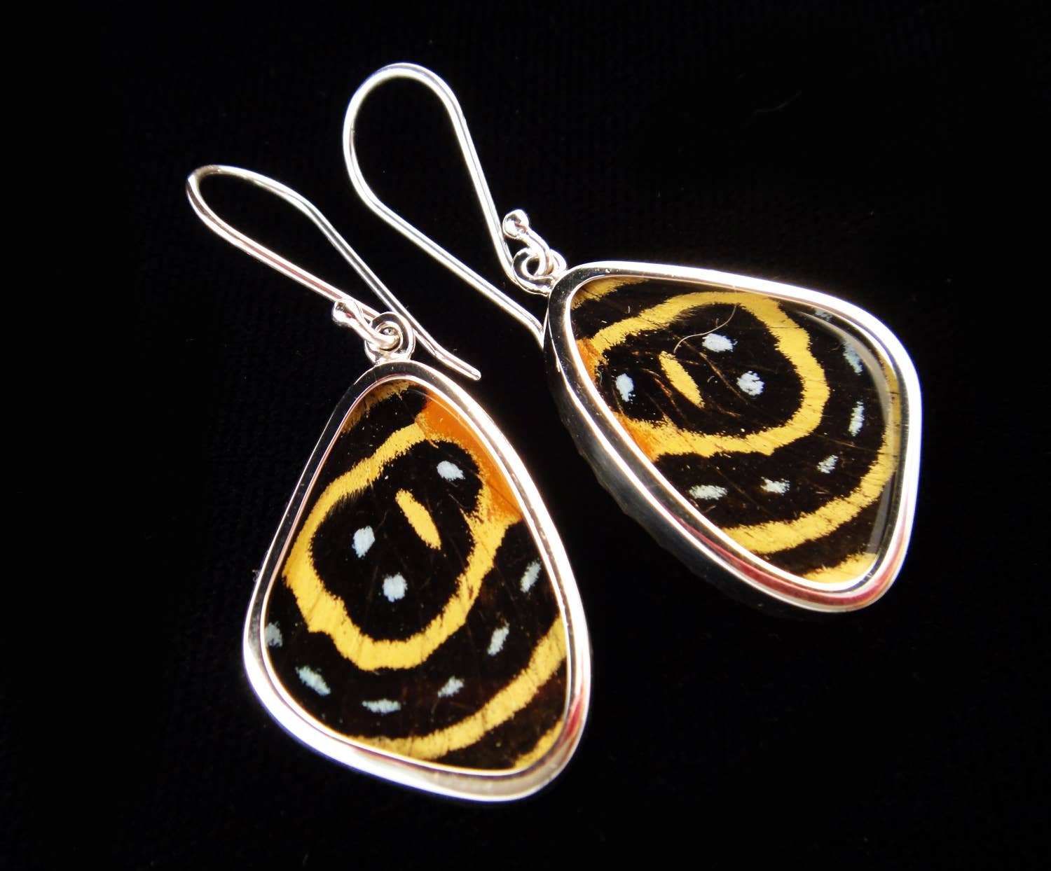 Tika - Wholesale Dangle Earrings - Shimmerwings "Speckled Numberwing" Butterfly Small Earrings2